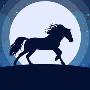 Meet your Posher, Jaden